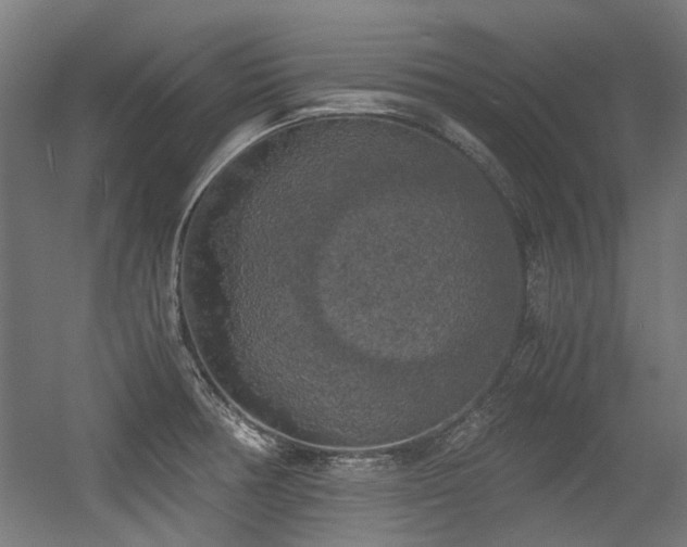 X0000056341378200508291304