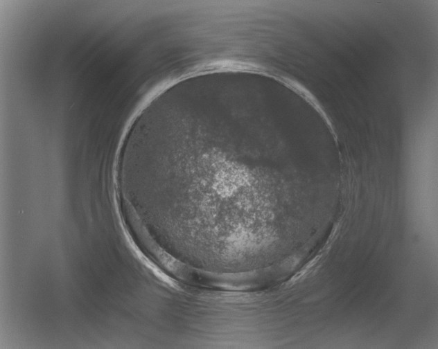 X0000056341381200508291304