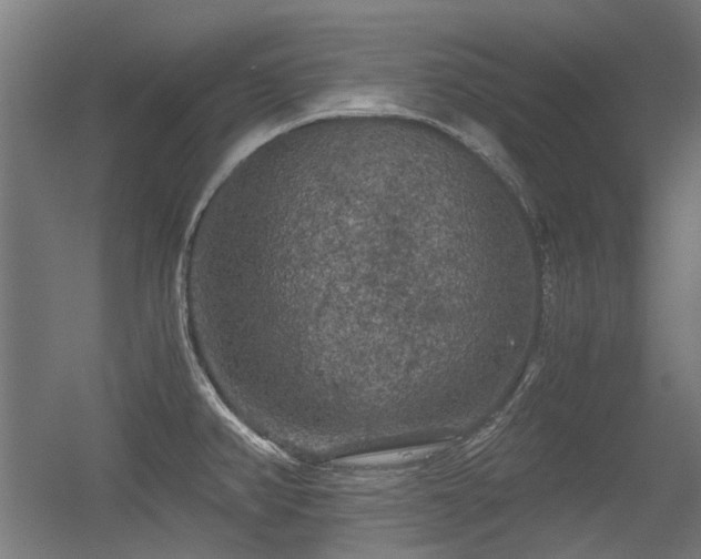 X0000056341382200508291304