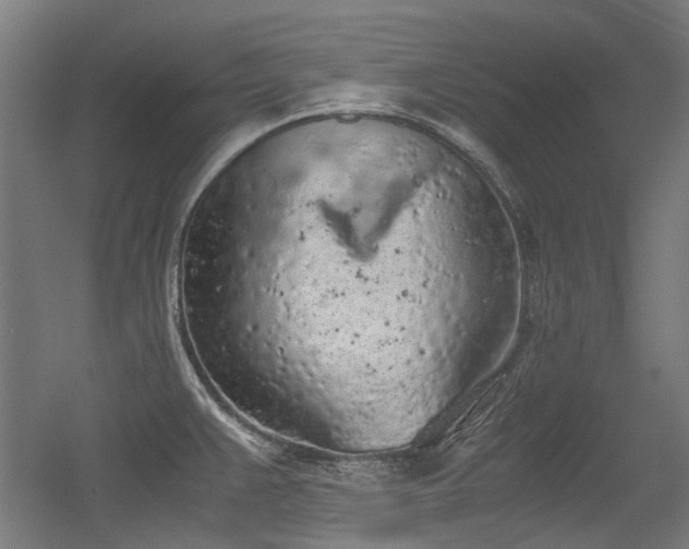 X0000056341383200508291304