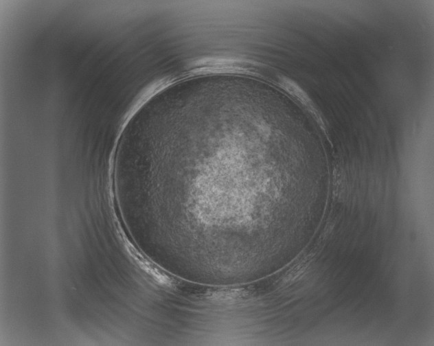 X0000056341386200508291304