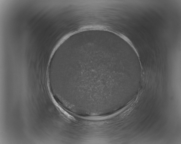 X0000056341389200508291304