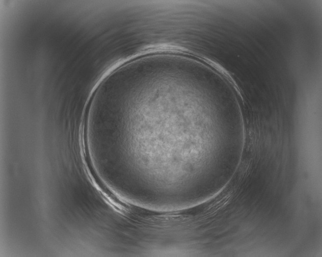 X0000056341391200508291304