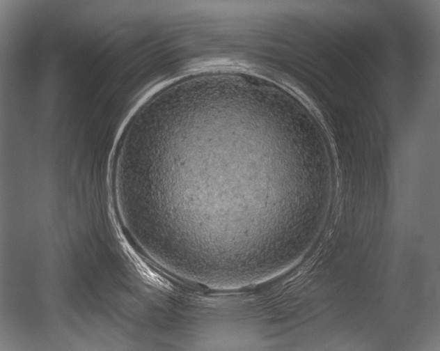 X0000056341392200508291304