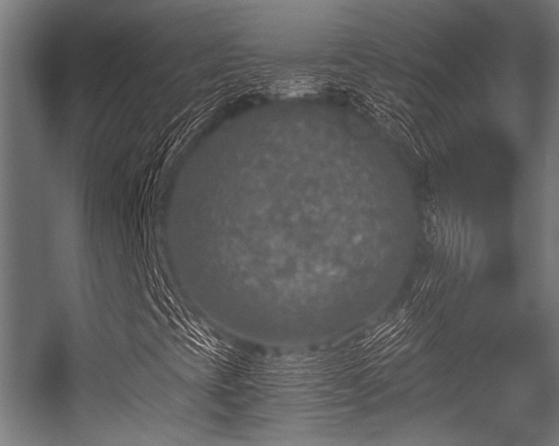 X0000056341393200508291303