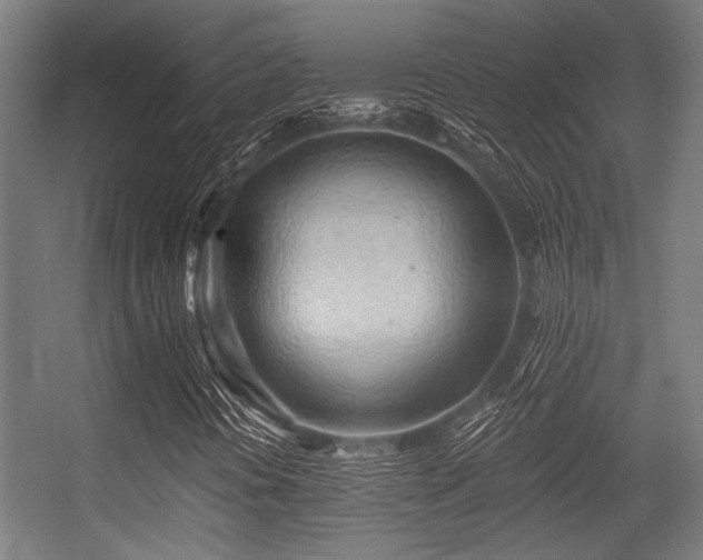 X0000056341394200508291303