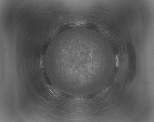 X0000056341395200508291303