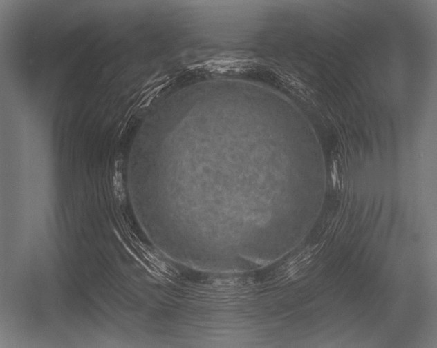 X0000056341396200508291303