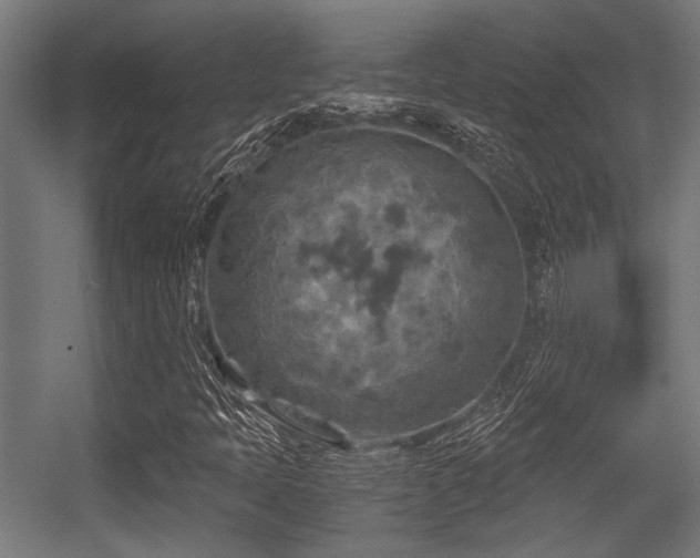 X0000056341397200508291303