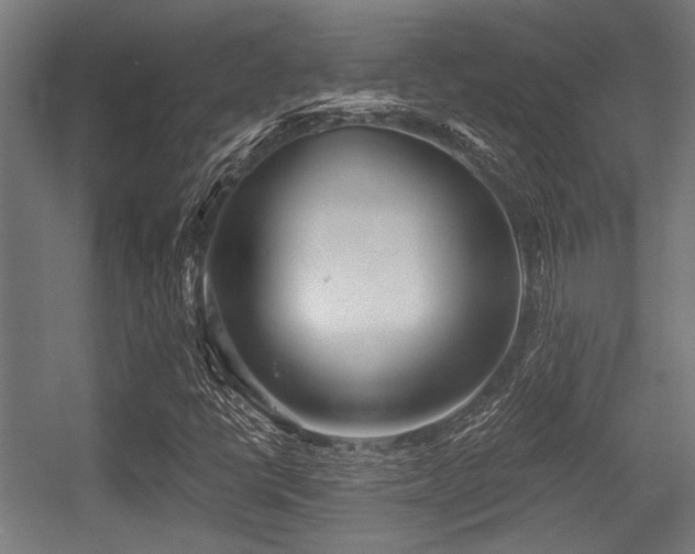 X0000056341398200508291303