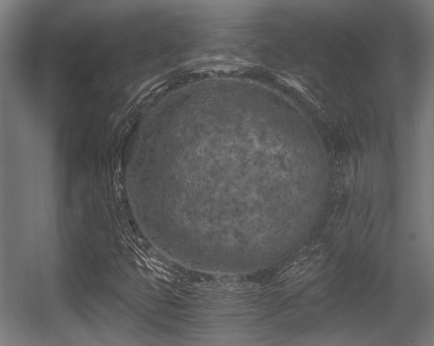 X0000056341399200508291303