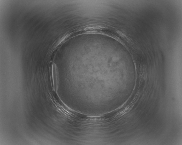 X0000056341401200508291303