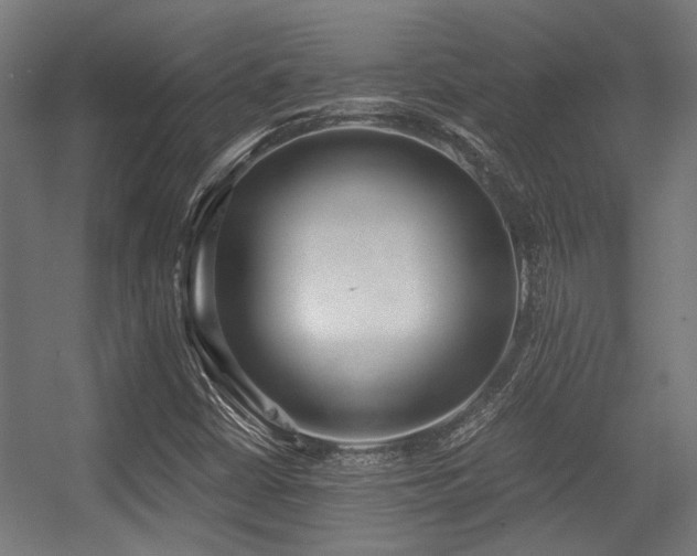 X0000056341402200508291303