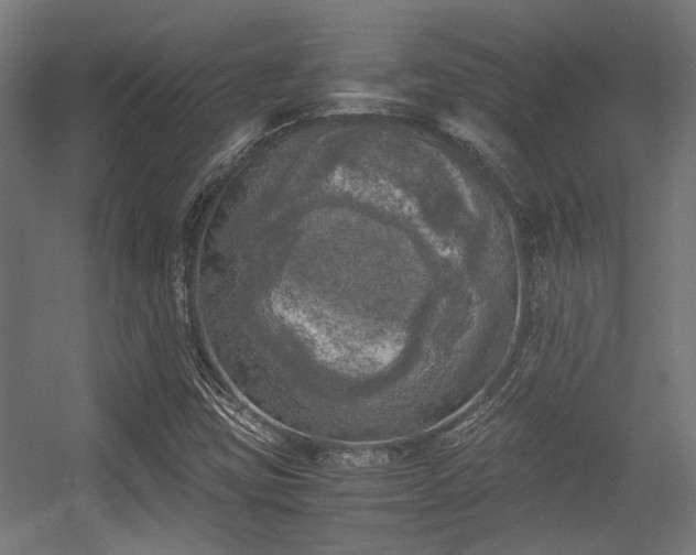 X0000056341403200508291303