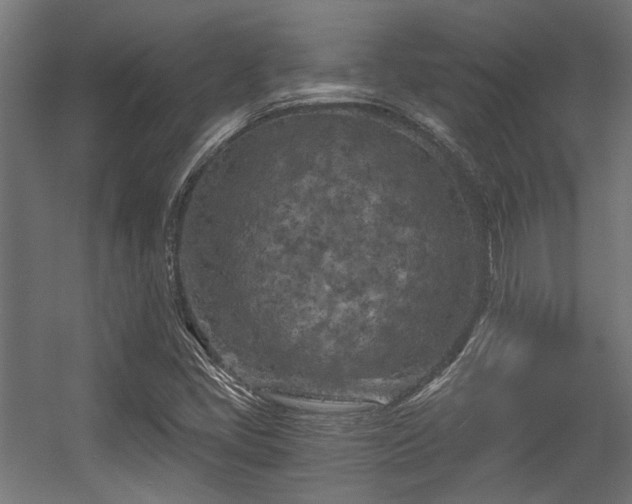 X0000056341405200508291303