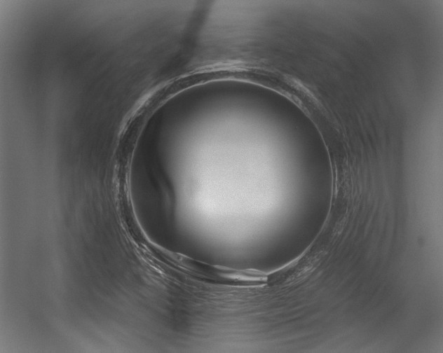 X0000056341406200508291303