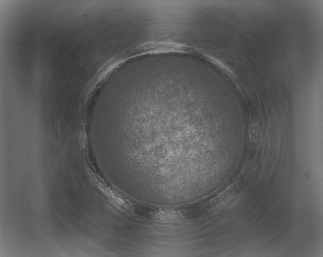 X0000056341407200508291303