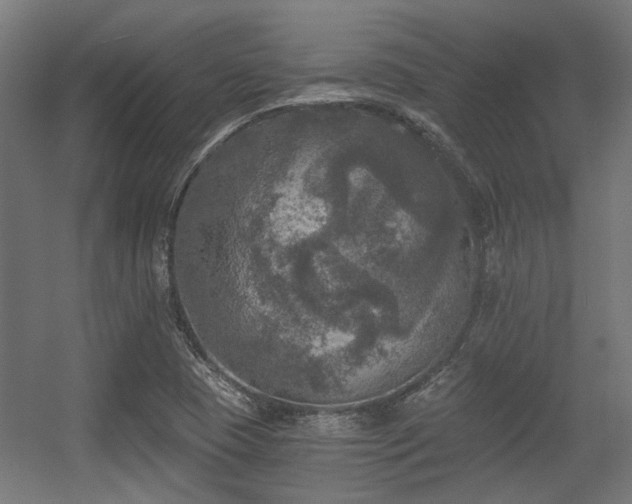 X0000056341409200508291303