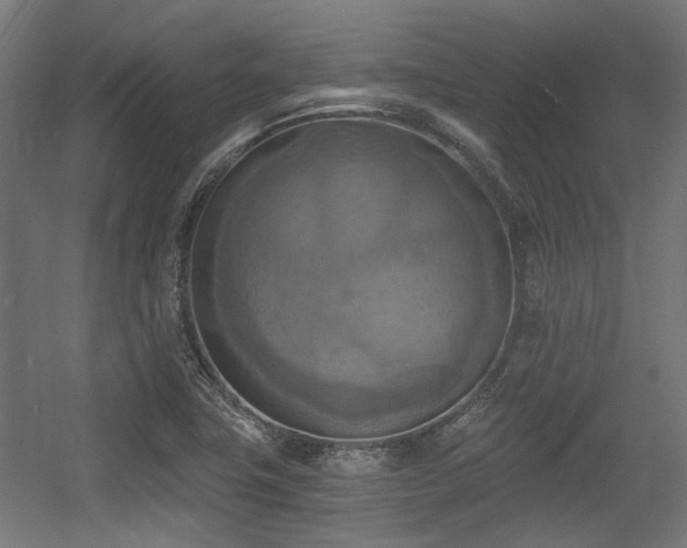 X0000056341411200508291303