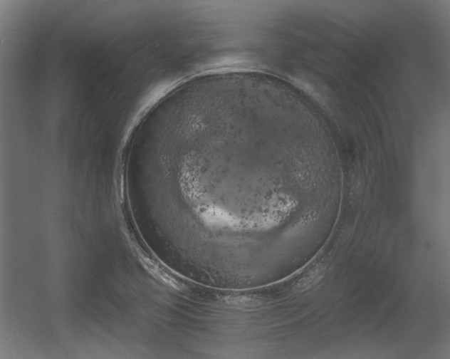 X0000056341413200508291303