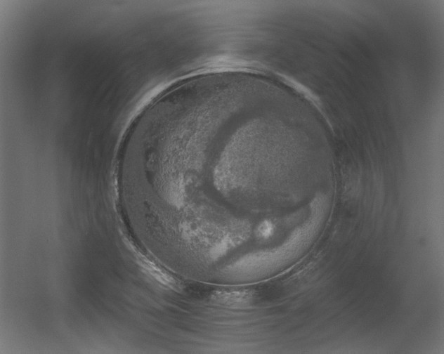 X0000056341415200508291304