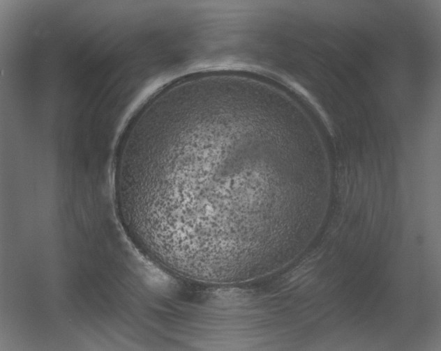 X0000056341416200508291304