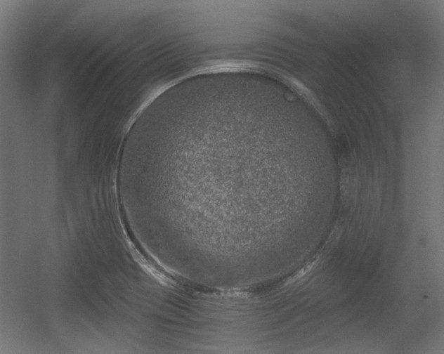 X0000056341417200508291304