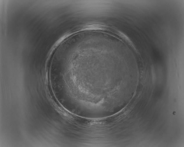 X0000056341419200508291304