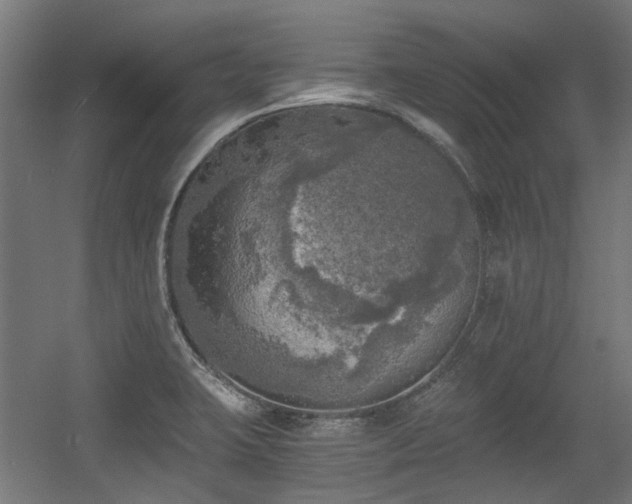 X0000056341423200508291304