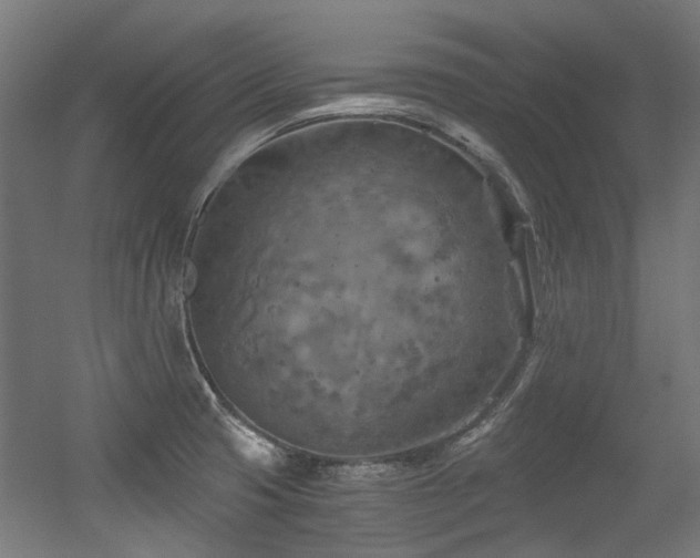 X0000056341425200508291304