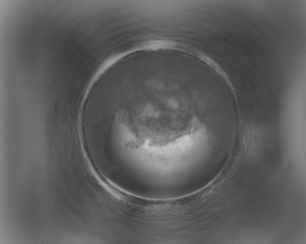 X0000056341429200508291304