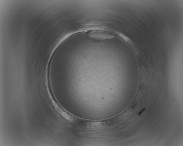 X0000056341431200508291304