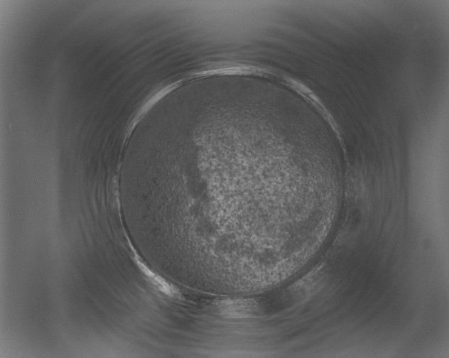 X0000056341433200508291304