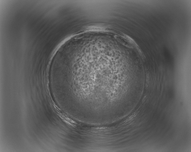 X0000056341435200508291304