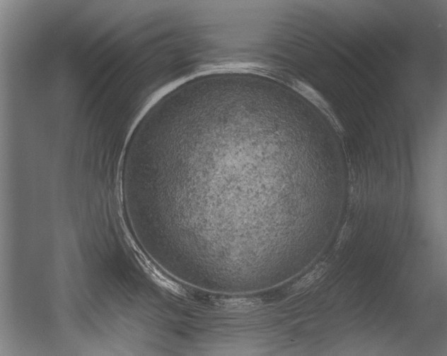 X0000056341436200508291304