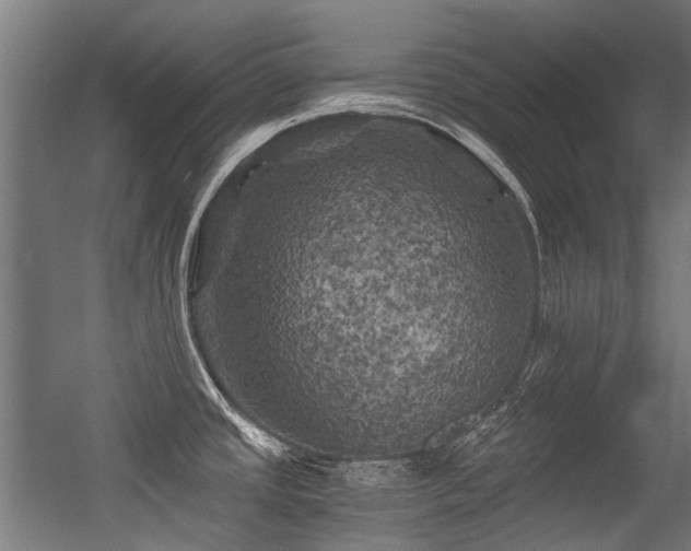 X0000056341437200508291304