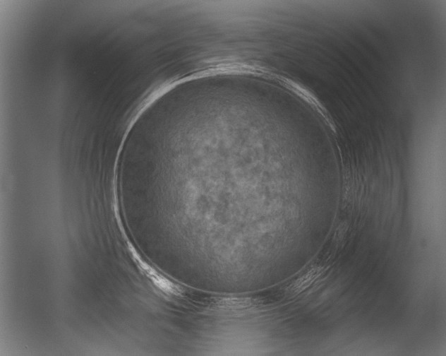 X0000056341439200508291304