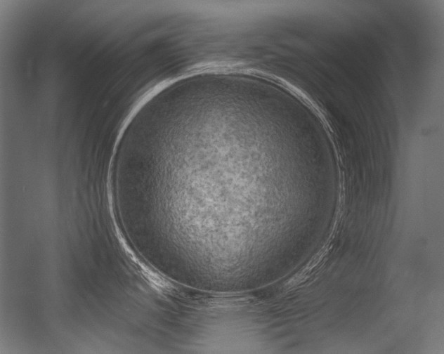 X0000056341440200508291304