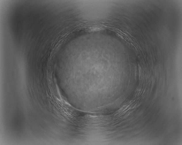 X0000056341441200508291303