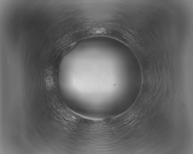 X0000056341442200508291303