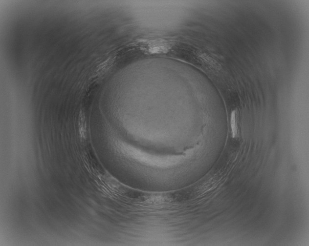 X0000056341443200508291303