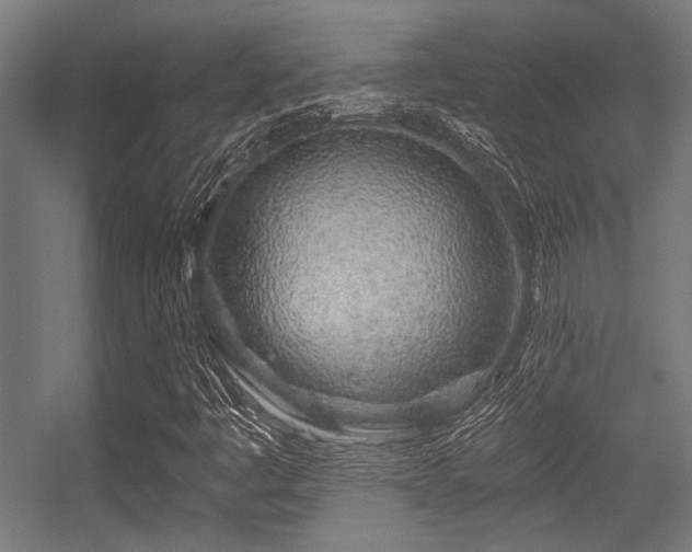 X0000056341445200508291303