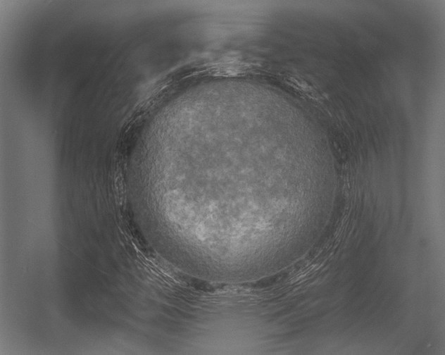 X0000056341446200508291303