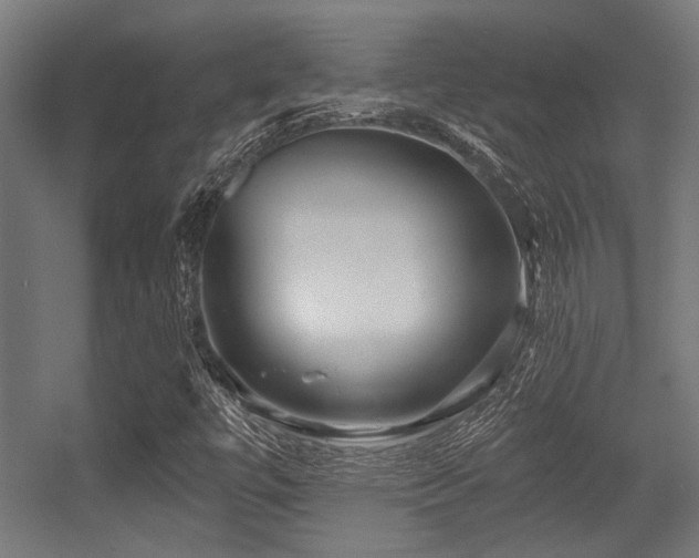 X0000056341447200508291303