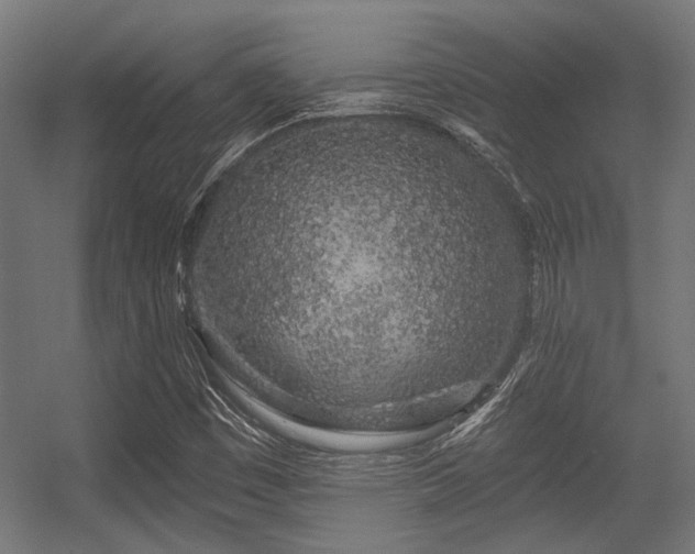 X0000056341449200508291303