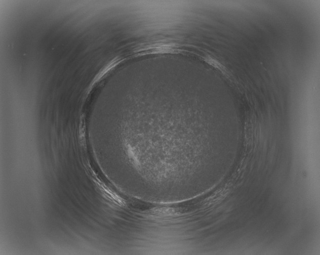 X0000056341450200508291303