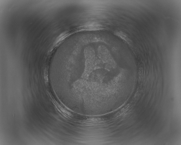 X0000056341451200508291303