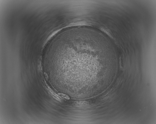 X0000056341452200508291303