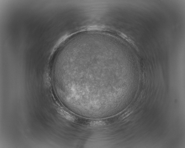 X0000056341454200508291303