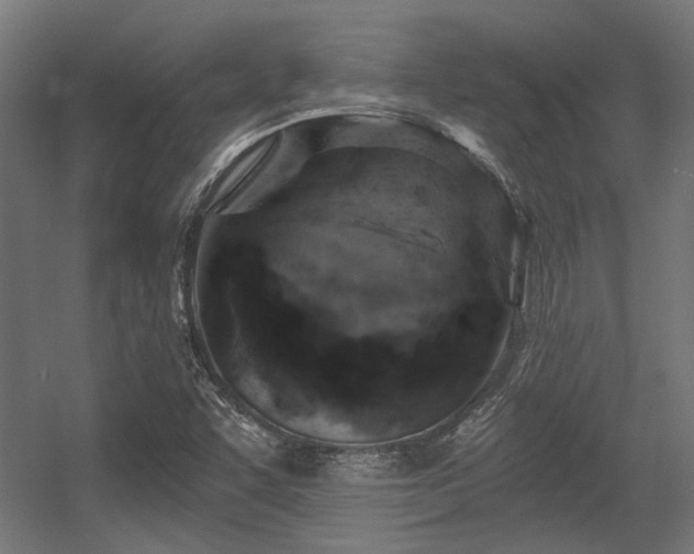 X0000056341455200508291303